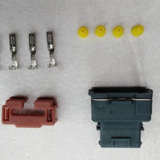 Cam Angle Sensor Plug (early models)